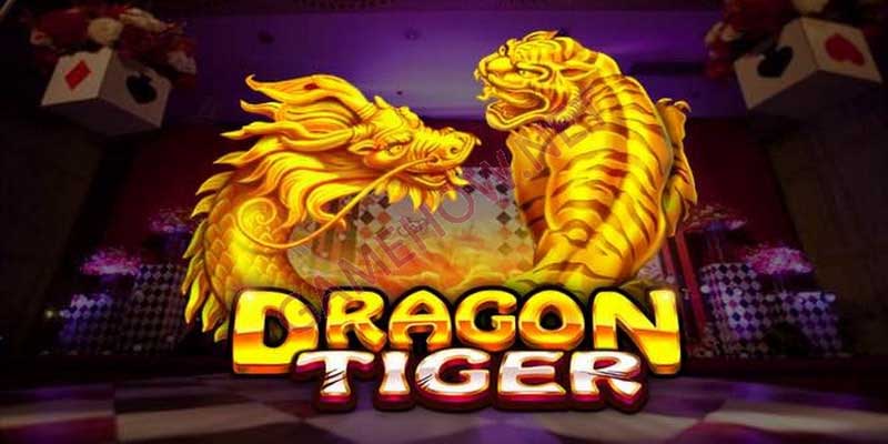 Rồng Hổ Go99 Có Gì Hấp Dẫn Mà Bạn Không Thể Bỏ Qua